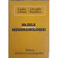 BAZELE MEMBRANOLOGIEI BAZELE MEMBRANOLOGIEI