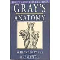 GRAY'S ANATOMY. ANATOMY DESCRIPTIVE AND SURGICAL GRAY'S ANATOMY. ANATOMY DESCRIPTIVE AND SURGICAL