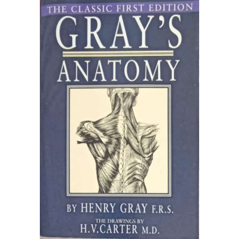 GRAY'S ANATOMY. ANATOMY DESCRIPTIVE AND SURGICAL