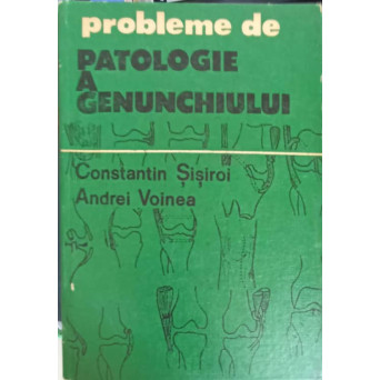 PROBLEME DE PATOLOGIE A GENUNCHIULUI
