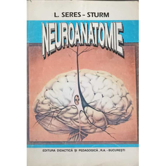 NEUROANATOMIE