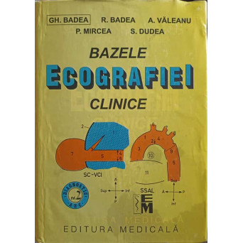 BAZELE ECOGRAFIEI CLINICE