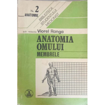ANATOMIA OMULUI. MEMBRELE