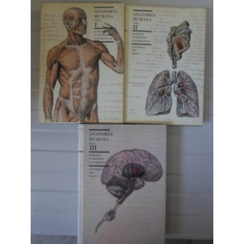 ANATOMIA HUMANA VOL.1-3 (MUSCHI, ORGANE INTERNE, SISTEMUL NERVOS, IN LB. SPANIOLA)