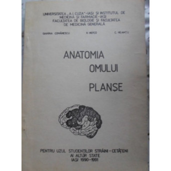 ANATOMIA OMULUI PLANSE