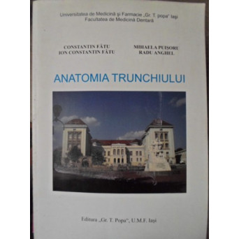 ANATOMIA TRUNCHIULUI