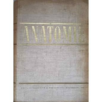 ANATOMIE. ANGIOLOGIA GLANDELE ENDOCRINE, SISTEMUL NERVOS SI ORGANELE DE SIMT