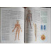 ATLAS DE ANATOMIE