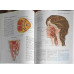 ATLAS DE ANATOMIE