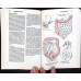 COLOR ATLAS AND TEXTBOOK OF HUMAN ANATOMY VOL.2 INTERNAL ORGANS