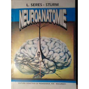 NEUROANATOMIE