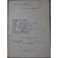 NOTIUNI DE ANATOMIE DESCRIPTIVA SI TOPOGRAFICA. MEMBRE NOTIUNI DE ANATOMIE DESCRIPTIVA SI TOPOGRAFICA. MEMBRE