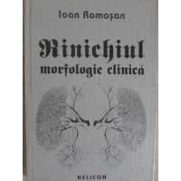 RINICHIUL MORFOLOGIE CLINICA RINICHIUL MORFOLOGIE CLINICA