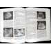 TRATAT DE ULTRASONOGRAFIE CLINICA VOL.1 PRINCIPII, ABDOMEN, OBSTETRICA SI GINECOLOGIE