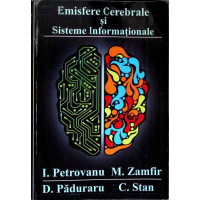 EMISFERELE CERERBRALE SI SISTEME INFORMATIONALE