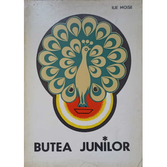 BUTEA JUNILOR. OBICEI DE IARNA DIN SUDUL TRANSILVANIEI