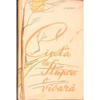 CANTA LA STUPCA O VIOARA