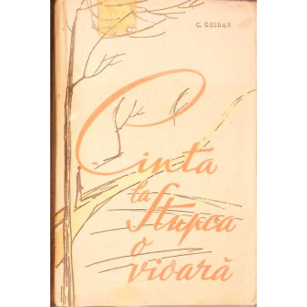 CANTA LA STUPCA O VIOARA