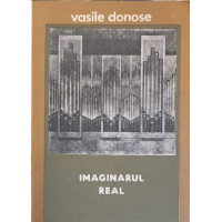IMAGINARUL REAL