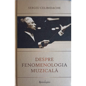 DESPRE FENOMENOLOGIA MUZICALA