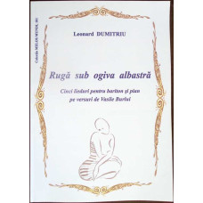 RUGA SUB OGIVA ALBASTRA