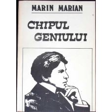 CHIPUL GENIULUI. ESEU DESPRE CREATIVITATEA EXEMPLARA CHIPUL GENIULUI. ESEU DESPRE CREATIVITATEA EXEMPLARA