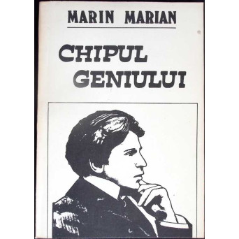 CHIPUL GENIULUI. ESEU DESPRE CREATIVITATEA EXEMPLARA