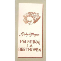 PELERINAJ LA BEETHOVEN