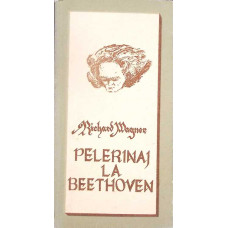 PELERINAJ LA BEETHOVEN PELERINAJ LA BEETHOVEN