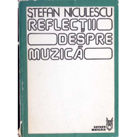 REFLECTII DESPRE MUZICA