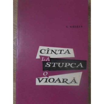 CANTA LA STUPCA O VIOARA