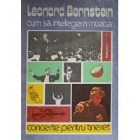CUM SA INTELEGEM MUZICA. CONCERTE PENTRU TINERET