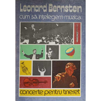 CUM SA INTELEGEM MUZICA. CONCERTE PENTRU TINERET