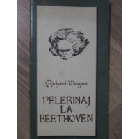 PELERINAJ LA BEETHOVEN PELERINAJ LA BEETHOVEN