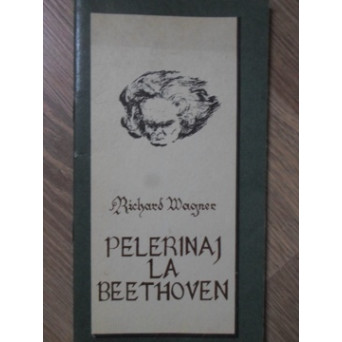 PELERINAJ LA BEETHOVEN