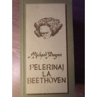 PELERINAJ LA BEETHOVEN PELERINAJ LA BEETHOVEN
