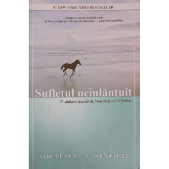 SUFLETUL NEINLANTUIT. O CALATORIE DINCOLO DE FRONTIERELE EULUI LIMITAT