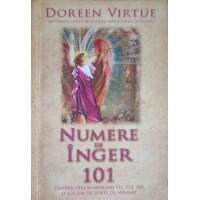 NUMERE DE INGER 101
