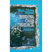 ENERGIA CARE VINDECA