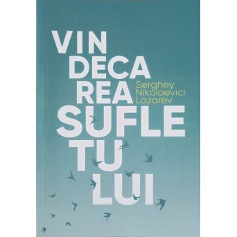 VINDECAREA SUFLETULUI