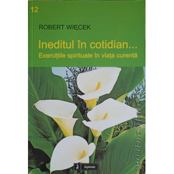 INEDITUL IN COTIDIAN... EXERCITII SPIRITUALE IN VIATA CURENTA