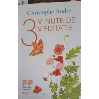 3 MINUTE DE MEDITATIE