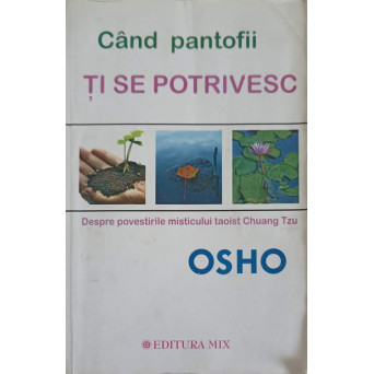 CAND PANTOFII TI SE POTRIVESC