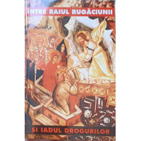 INTRE RAIUL RUGACIUNII SI IADUL DROGURILOR
