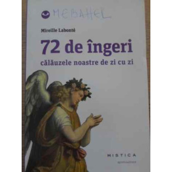 72 DE INGERI CALAUZELE NOASTRE DE ZI CU ZI