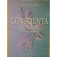 CONSTIENTA. CAPCANELE SI SANSELE REALITATII