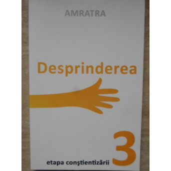 DESPRINDEREA. ETAPA CONSTIENTIZARII 3