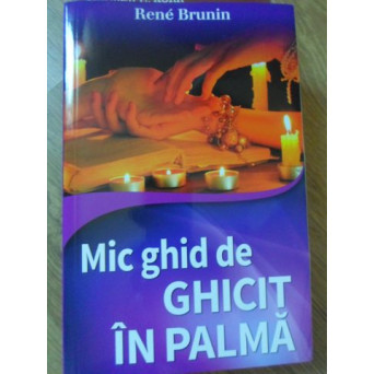 MIC GHID DE GHICIT IN PALMA