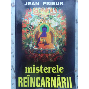 MISTERELE REINCARNARII