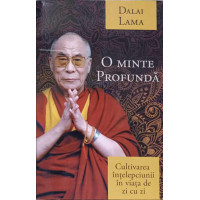 O MINTE PROFUNDA. CULTIVAREA INTELEPCIUNII IN VIATA DE ZI CU ZI O MINTE PROFUNDA. CULTIVAREA INTELEPCIUNII IN VIATA DE ZI CU ZI